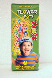 Flower Pots Asoka	